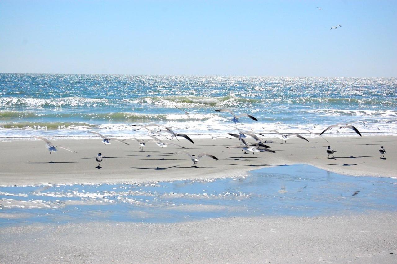 Mariners Cove 227 C Leilighet Myrtle Beach Eksteriør bilde